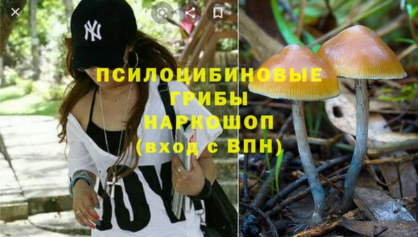 mdpv Володарск