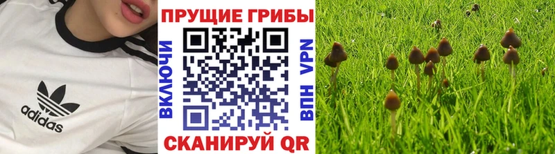 Галлюциногенные грибы GOLDEN TEACHER  Сарапул 
